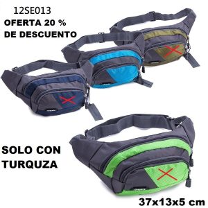 12SE013 RIÑONERA