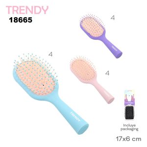 18665 Cepillo Trendy