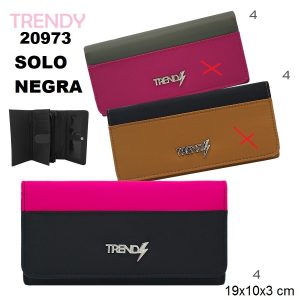 20973 – Fichero Trendy