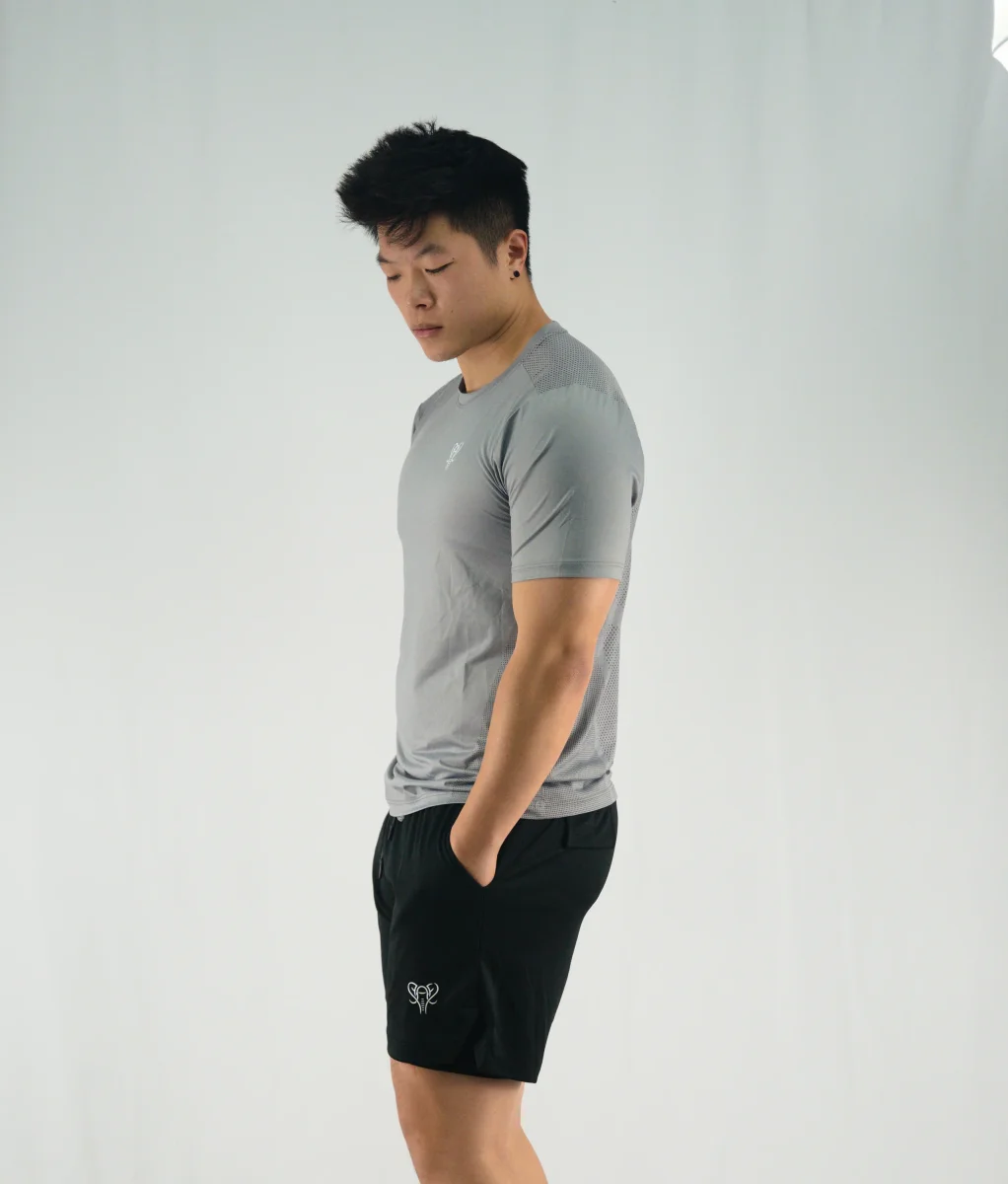 Sport WingFit T-Shirt Grey - Imagen 3