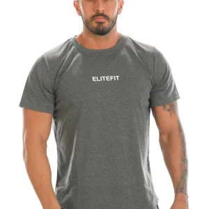 Camiseta ANGELO (gris)