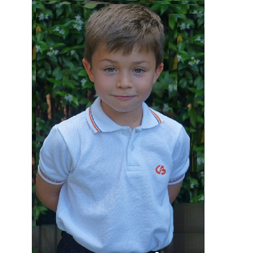 Polo colegio bernadette - Imagen 3