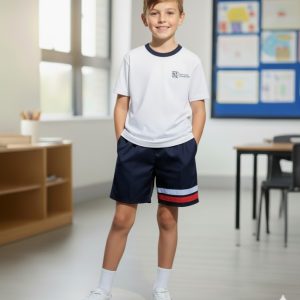 Camiseta deporte colegio san luis de los franceses